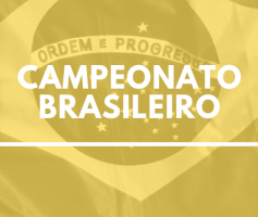 Palpites para Operário x Paraná e Criciúma x Brasil de Pelotas