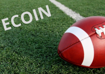 Miami Dolphins anuncia Litecoin como criptomoeda oficial da equipe