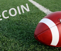 Miami Dolphins anuncia Litecoin como criptomoeda oficial da equipe